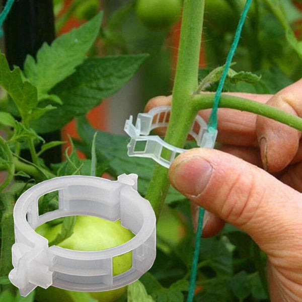 50/100/200Pcs Tomato Greenhouse Garden Plant Support Veggie Clips Trellis Twine