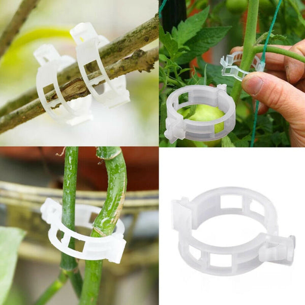 50/100/200Pcs Tomato Greenhouse Garden Plant Support Veggie Clips Trellis Twine