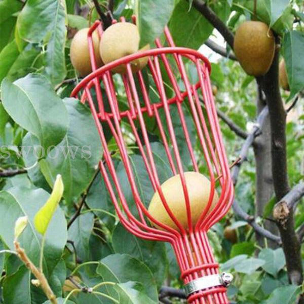 Red Horticultural Convenient Labor saving Fruit Picker Apple Picking Garden Tool