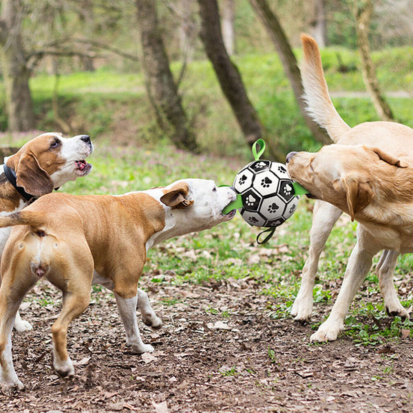 Dog Ball Interactive Soccer Toy Pet Football with Grab Tabs Tug Water Outdoor AU