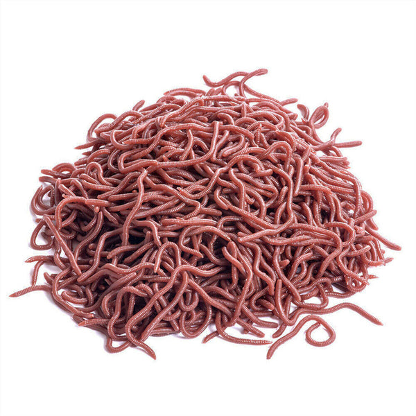 50PCS/Pack 8cm Soft Earthworm Fishing Bait Red Worm Lures Grub Simulation Tackle