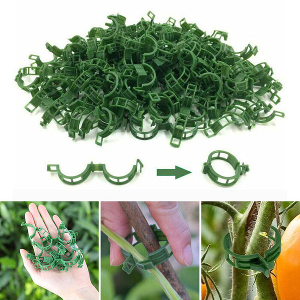 50-200PCS Tomato Greenhouse Ties Veggie Plant Support Clips Garden trellis Stake