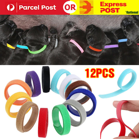 12 Colours Whelping ID Bands Pet Puppy Kitten Identification Collar Tags