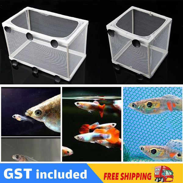 Aquarium Fish Tank Guppy Breeding Breeder Baby/Fry/Newborn Net Trap Box Hatchery