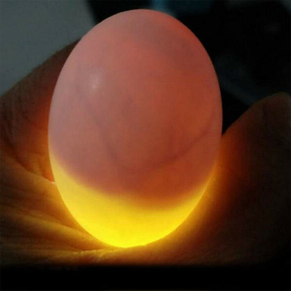 Super Bright Egg Candler Tester Incubator Lamp Light Dark Hatching Eggs Candling
