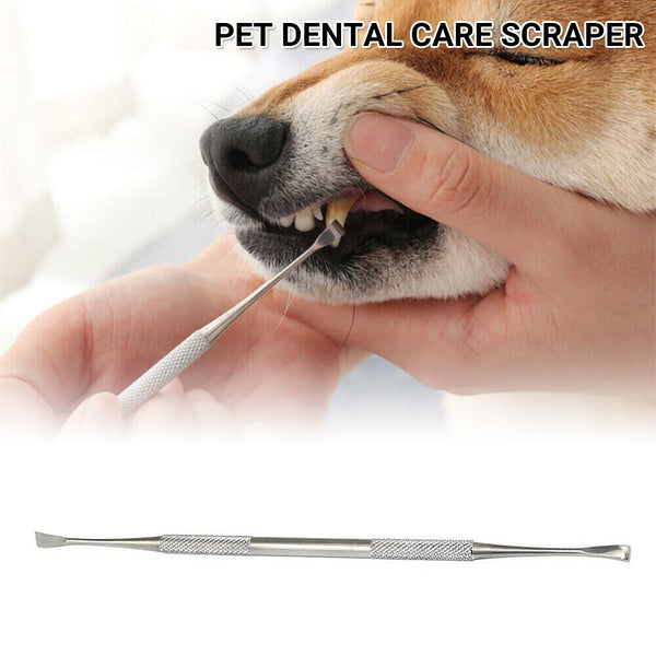 2x Teeth Cleaning Pet Dental Care Plaque Cleaner Dog Tooth Scaler Scraper Cat