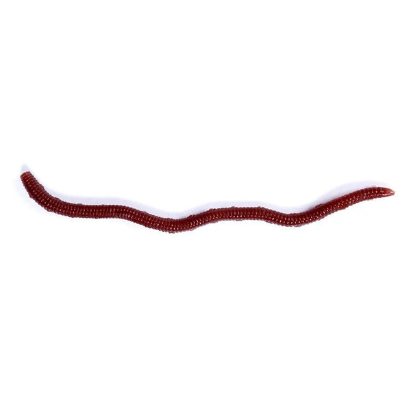 50PCS/Pack 8cm Soft Earthworm Fishing Bait Red Worm Lures Grub Simulation Tackle