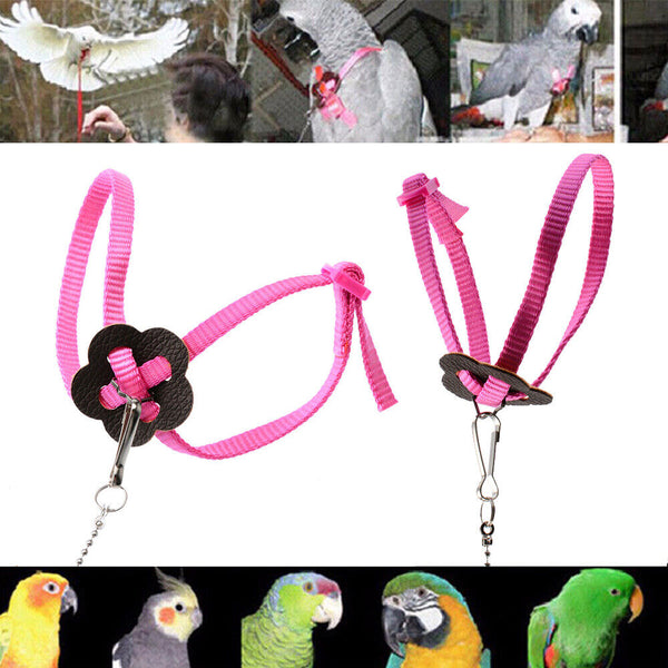 Adjustable Pet Parrot Bird Harness Lead Leash Flying Training Rope Cockatiel HOT