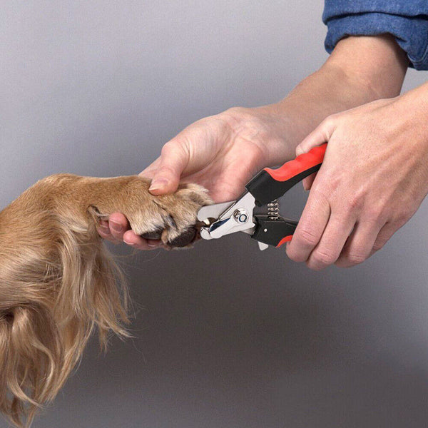 Pet Dog Cat Nail Clippers Professional Toe Trimmer Grooming Steel Clipper Tool