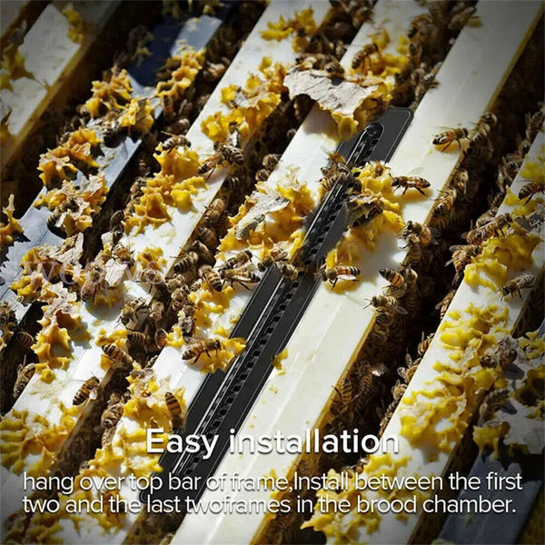 20pcx Small Bee Hive Beetle Blaster BeeHive Trap Beekeeping Equipment Tool Black