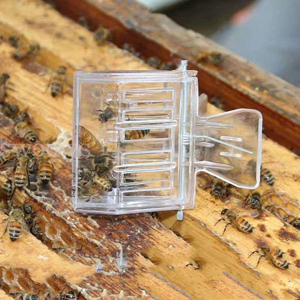 5pcs Queen Cage Clip Bee Catcher Beekeeper Beekeeping Tool Plastic Equipment