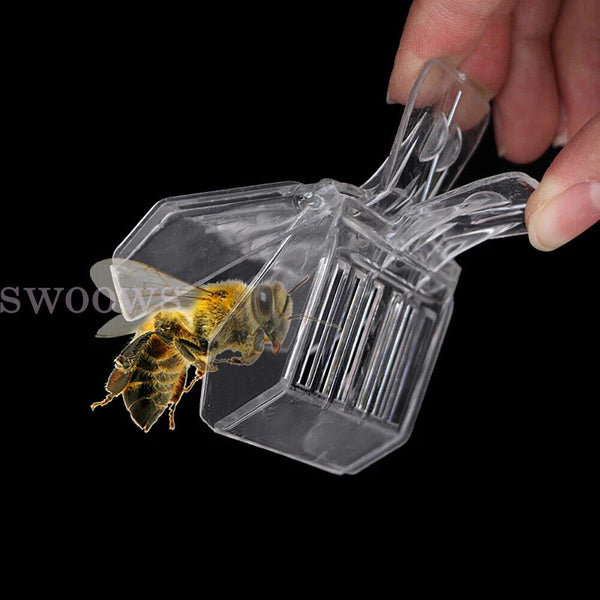 5pcs Queen Cage Clip Bee Catcher Beekeeper Beekeeping Tool Plastic Equipment