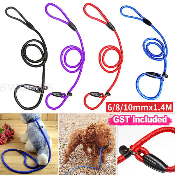 Dog Training Correction Leash Lead Cesar Puppy Pets Millan Slip Nylon Rope