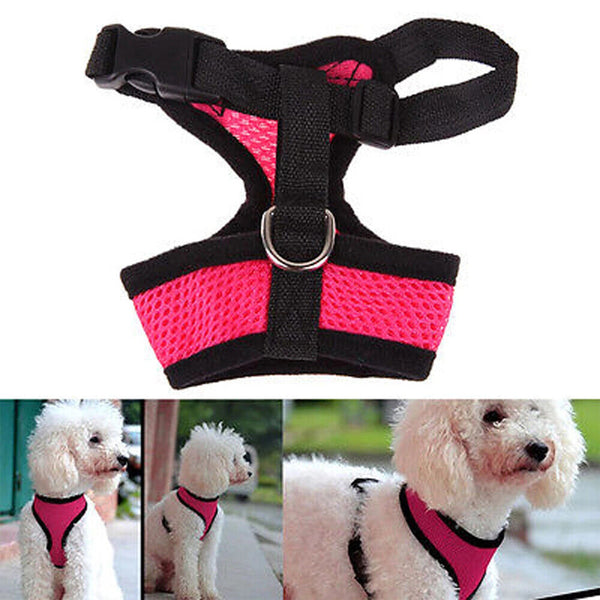 Pet Dog Cat Puppy Soft Leash VEST Mesh Breathe Adjustable Harness Braces Clothes