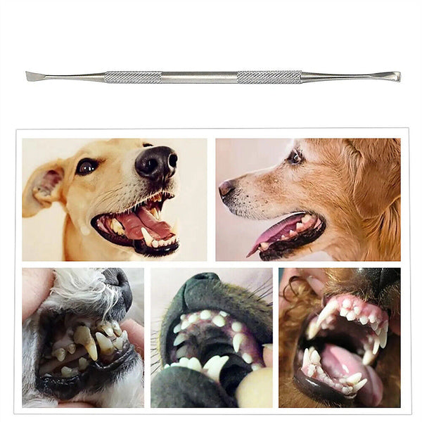 2x Teeth Cleaning Pet Dental Care Plaque Cleaner Dog Tooth Scaler Scraper Cat