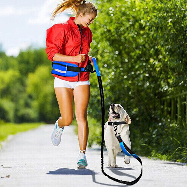 1-3Adjustable Hands Free Dog Leash Lead + Waist Bag Belt Jogging Walking Running