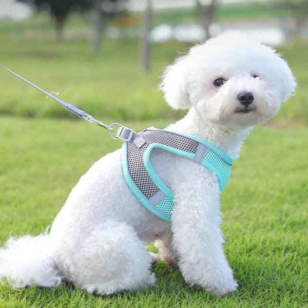 Reflective Dog Harness Adjustable Breathable Outdoor Collars Strap Pet Cat Leash