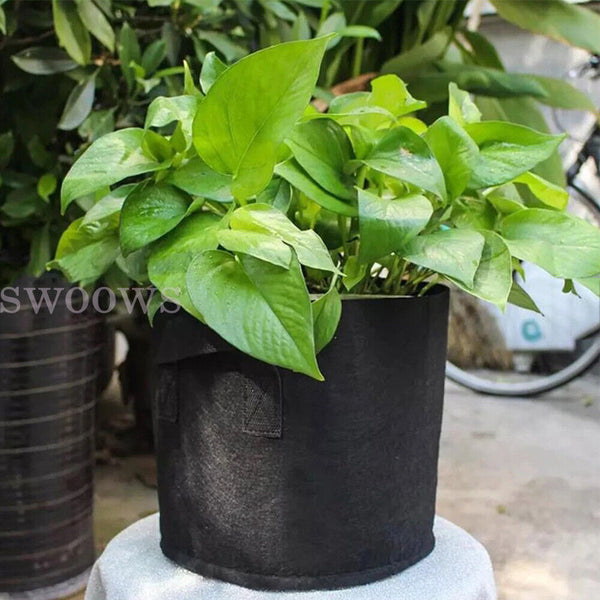 Up to 20pcs Fabric Plant Pots Grow Bags with Handles 3 5 10 20 Gallon