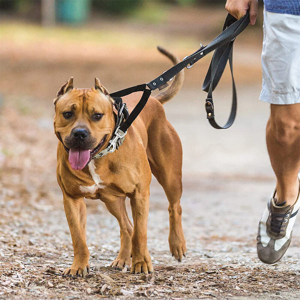 Duplex Double Dog Coupler Twin Dual Lead 2 Way Two Pet Dogs Walking Safety Leash