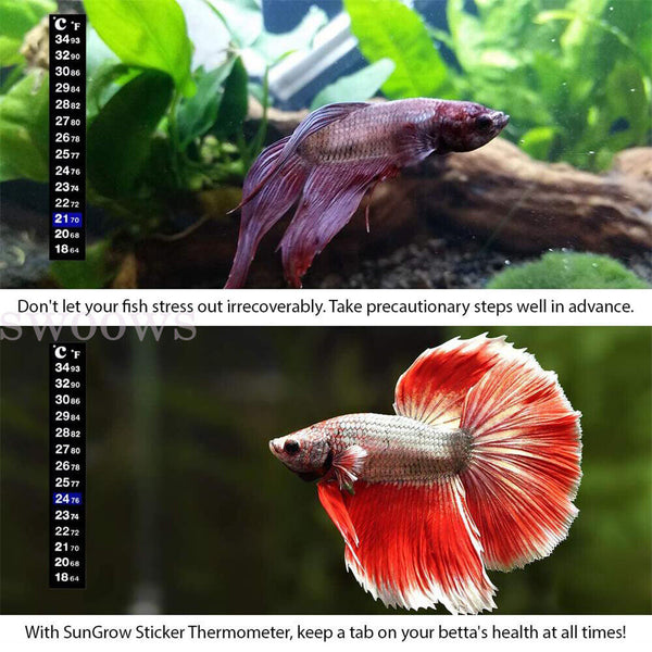 UP TO 5x Aquarium Thermometer Fish Tank Sticker Temperature Strip Dual Scale AU