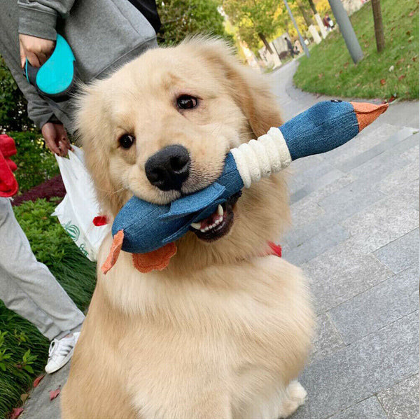 Pet Dog Plush Toys Rope Teething Chew Puppy Tough Interactive Teeth Durable Toy