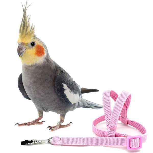 Adjustable Pet Parrot Bird Harness Lead Leash Flying Training Rope Cockatiel AU