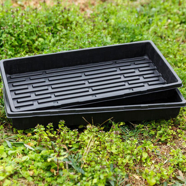 UP50x Garden Black Plastic Rectangle Plant Seedling Propagation Seeding Tray