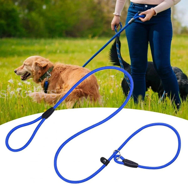 Dog Training Correction Leash Lead Cesar Puppy Pets Millan Slip Nylon Rope