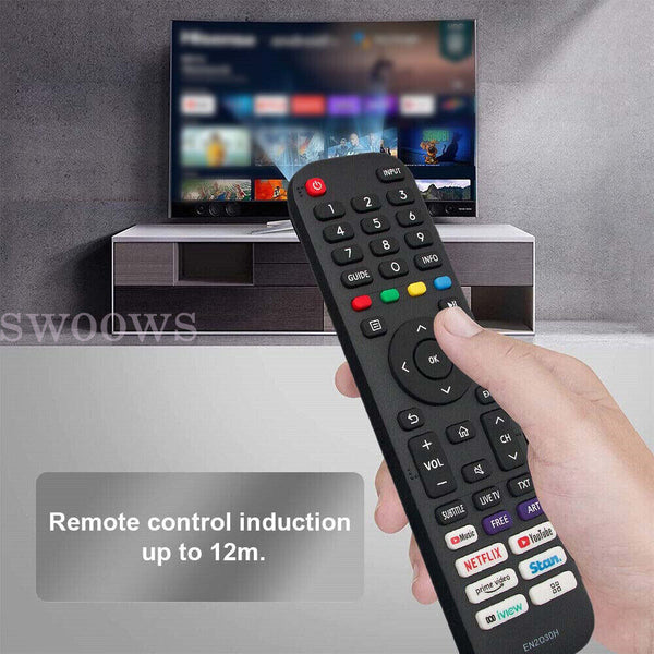 TV Remote Control for HISENSE VIDAA EN2Q30H 32A4G 40A4G 43A4G