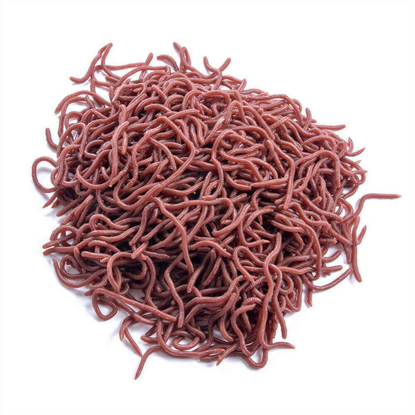 50PCS/Pack 8cm Soft Earthworm Fishing Bait Red Worm Lures Grub Simulation Tackle