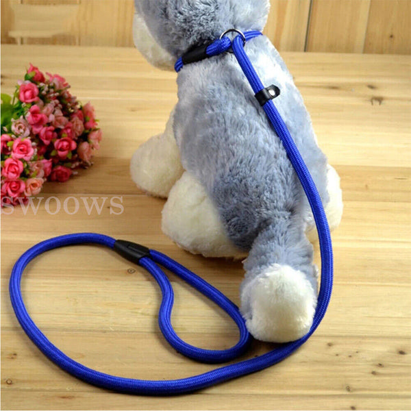 Dog Training Correction Leash Lead Cesar Puppy Pets Millan Slip Nylon Rope