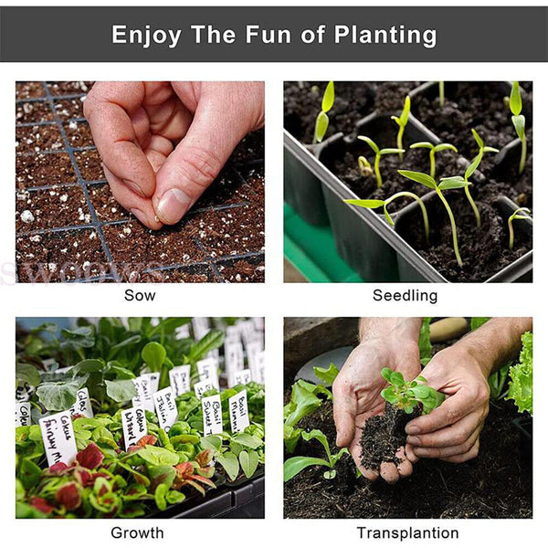 10Pcs Plant Seed Grow Box Propagation Nursery Seedling Tray Starter Gardening
