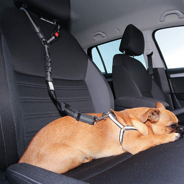 Headrest Anti Shock Pet Dog Car Seat Belt Bungee Lead Travel Safety Harness