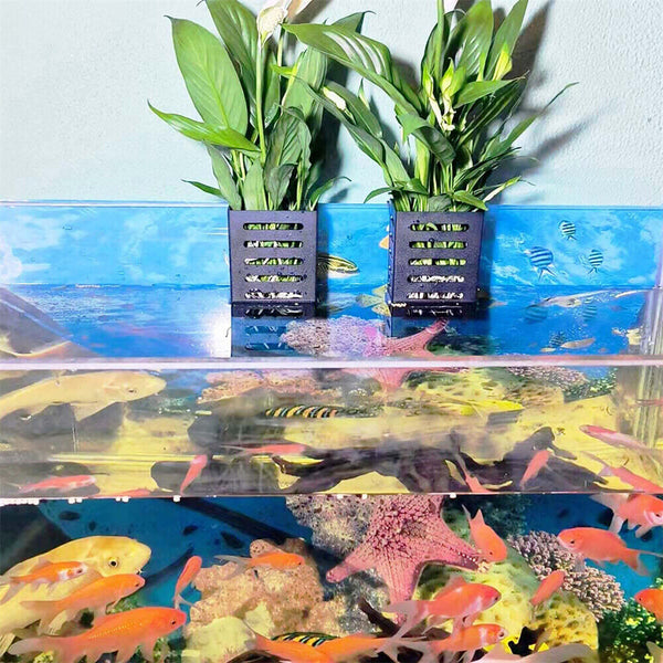 2Pcs Aquatic Plant Cup Plastic Plant Pot Holder Aquarium Fish Tank Plant Holder