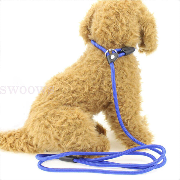 Dog Training Correction Leash Lead Cesar Puppy Pets Millan Slip Nylon Rope