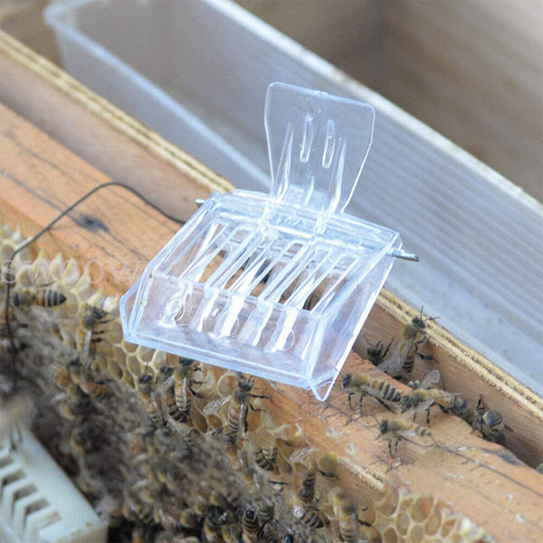 5pcs Queen Cage Clip Bee Catcher Beekeeper Beekeeping Tool Plastic Equipment