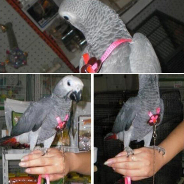 Adjustable Pet Parrot Bird Harness Lead Leash Flying Training Rope Cockatiel HOT