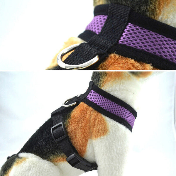 Pet Dog Cat Puppy Soft Leash VEST Mesh Breathe Adjustable Harness Braces Clothes