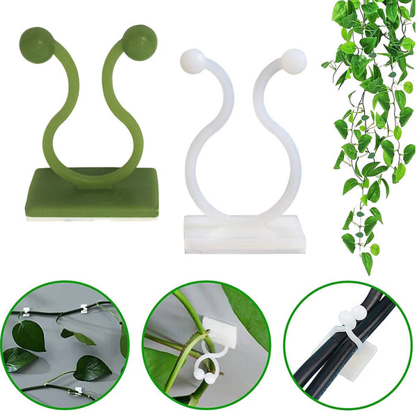 10-50x Invisible Plant Climbing Wall Clip Sticky Hook Vines Fixing Rattan Clips