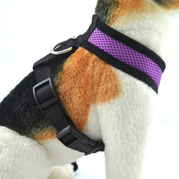 Pet Dog Cat Puppy Soft Leash VEST Mesh Breathe Adjustable Harness Braces Clothes