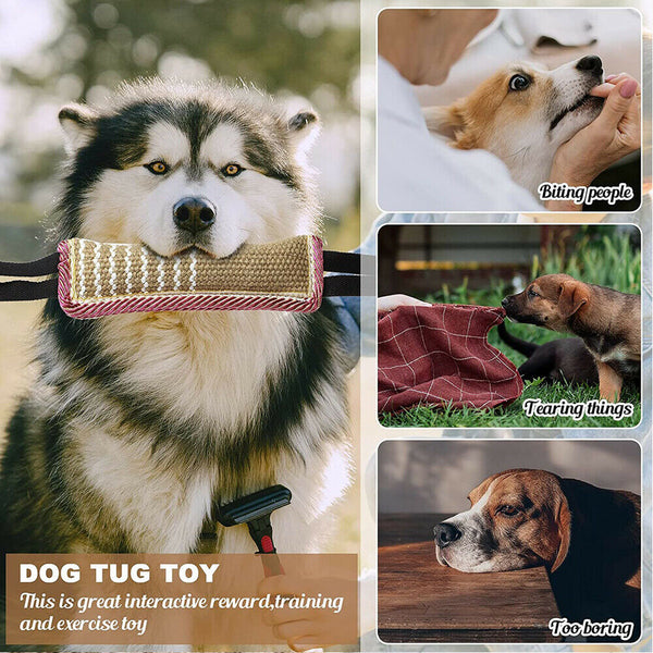 Dog Tug Toy Bite Pillow Strong Pull Dog Toy Training with 2 Rope Handles Toys