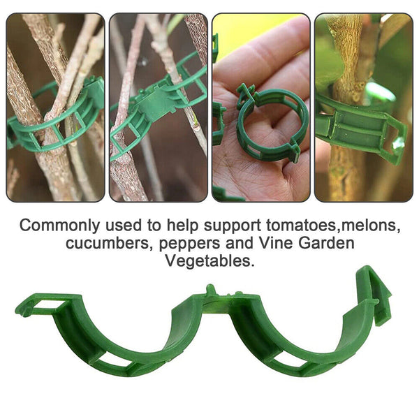 50-200PCS Tomato Greenhouse Ties Veggie Plant Support Clips Garden trellis Stake