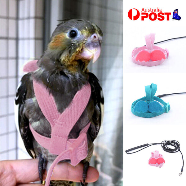 Adjustable Pet Parrot Bird Harness Lead Leash Flying Training Rope Cockatiel AU