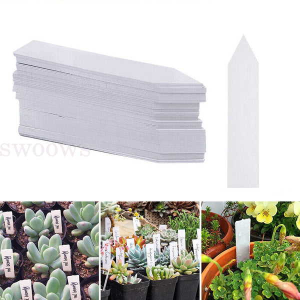 10Pcs Plant Seed Grow Box Propagation Nursery Seedling Tray Starter Gardening