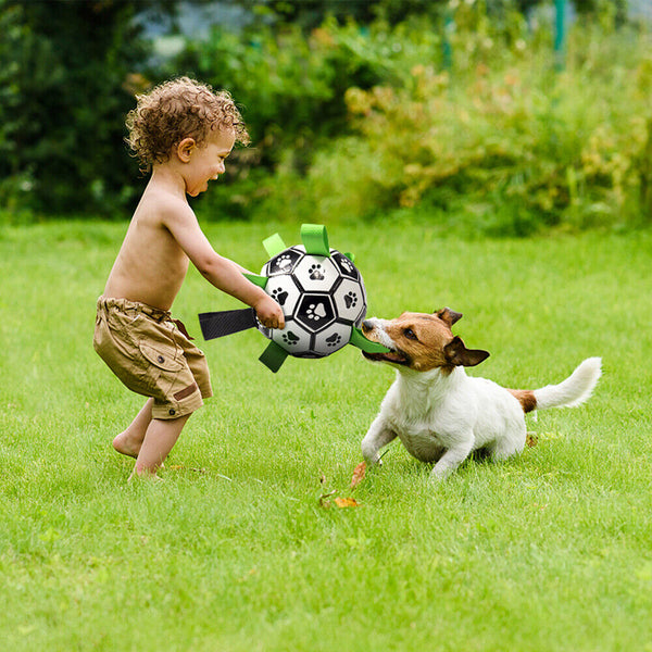 Dog Ball Interactive Soccer Toy Pet Football with Grab Tabs Tug Water Outdoor AU