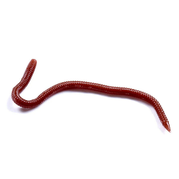 50PCS/Pack 8cm Soft Earthworm Fishing Bait Red Worm Lures Grub Simulation Tackle