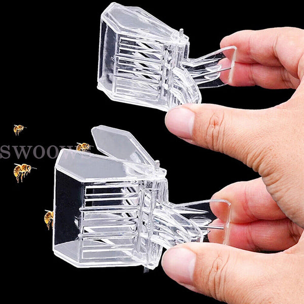 5pcs Queen Cage Clip Bee Catcher Beekeeper Beekeeping Tool Plastic Equipment