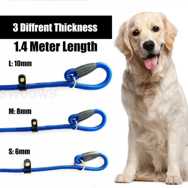 Dog Training Correction Leash Lead Cesar Puppy Pets Millan Slip Nylon Rope