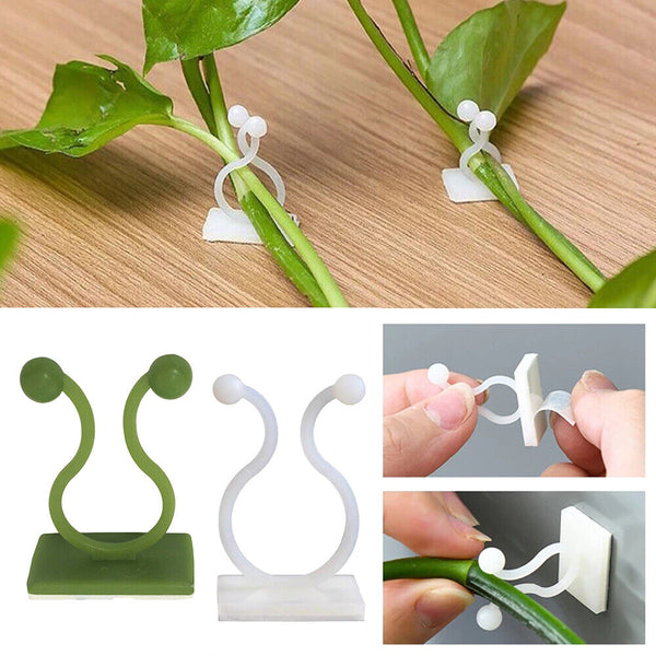 10-50x Invisible Plant Climbing Wall Clip Sticky Hook Vines Fixing Rattan Clips