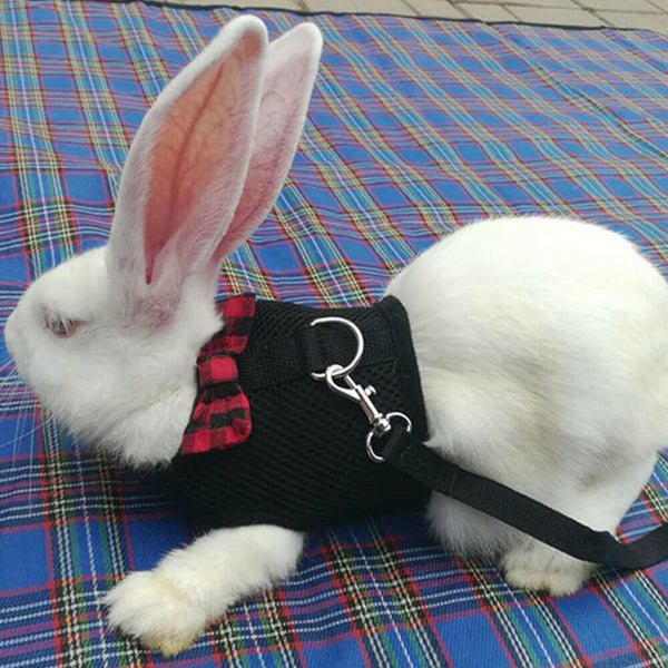 Rabbit Vest Harness Leash Lead Small Animal Pet Mesh Hamster Bunny Traction Rope